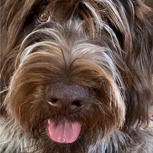 Meet your Posher, Lulubee